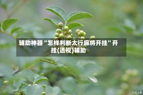 辅助神器“怎样判断太行麻将开挂”开挂(透视)辅助-第1张图片