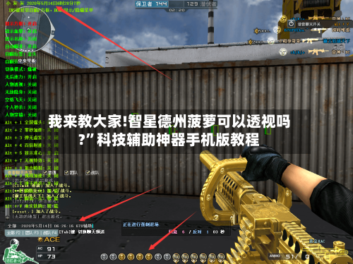 我来教大家!智星德州菠萝可以透视吗?”科技辅助神器手机版教程-第1张图片