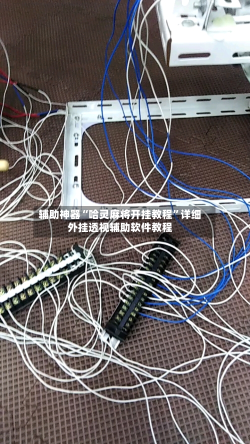 辅助神器“哈灵麻将开挂教程	”详细外挂透视辅助软件教程-第1张图片