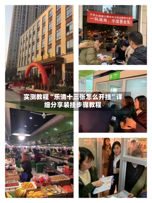 实测教程“乐清十三张怎么开挂”详细分享装挂步骤教程-第1张图片