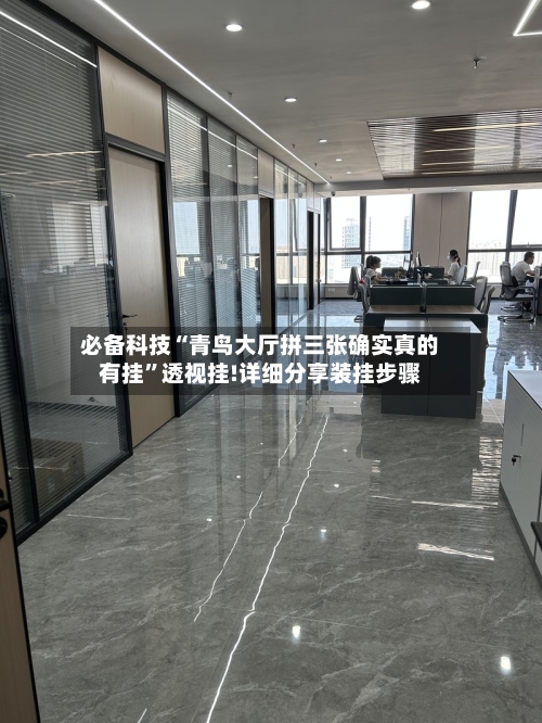 必备科技“青鸟大厅拼三张确实真的有挂”透视挂!详细分享装挂步骤-第1张图片