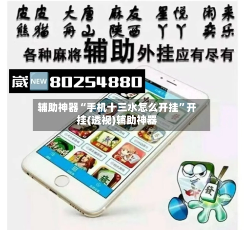 辅助神器“手机十三水怎么开挂	”开挂(透视)辅助神器-第1张图片