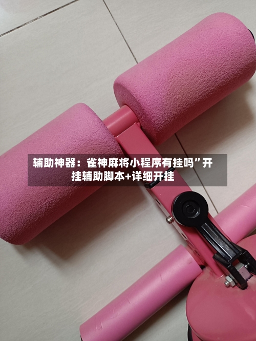 辅助神器：雀神麻将小程序有挂吗”开挂辅助脚本+详细开挂-第1张图片
