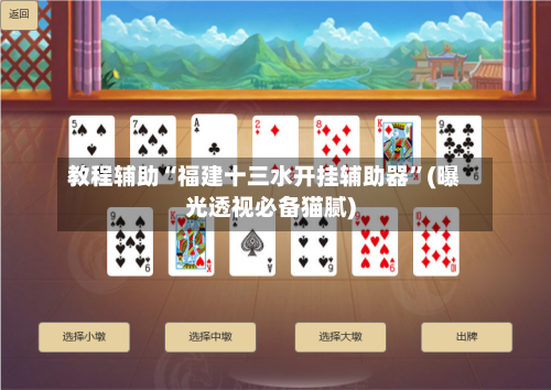 教程辅助“福建十三水开挂辅助器”(曝光透视必备猫腻)-第1张图片