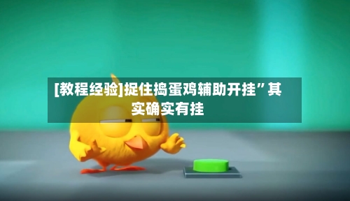 [教程经验]捉住捣蛋鸡辅助开挂	”其实确实有挂-第1张图片