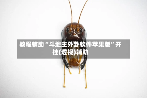 教程辅助“斗地主外卦软件苹果版	”开挂(透视)辅助-第1张图片