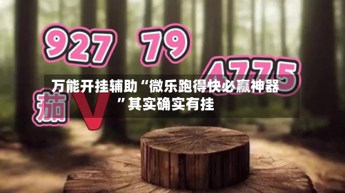 万能开挂辅助“微乐跑得快必赢神器	”其实确实有挂-第1张图片