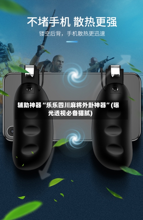辅助神器“乐乐四川麻将外卦神器”(曝光透视必备猫腻)-第1张图片