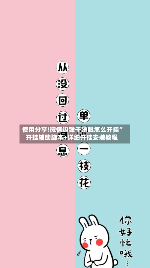 使用分享!微信边锋干瞪眼怎么开挂”开挂辅助脚本+详细开挂安装教程-第1张图片