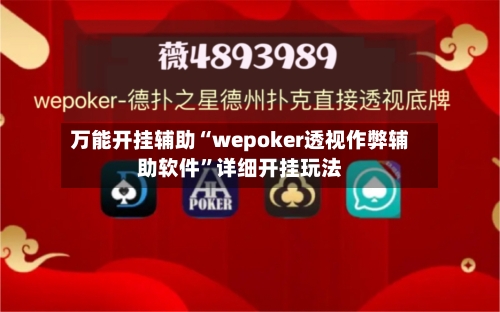 万能开挂辅助“wepoker透视作弊辅助软件	”详细开挂玩法-第1张图片