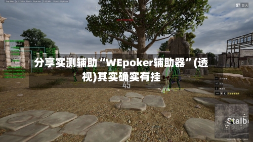 分享实测辅助“WEpoker辅助器”(透视)其实确实有挂-第1张图片