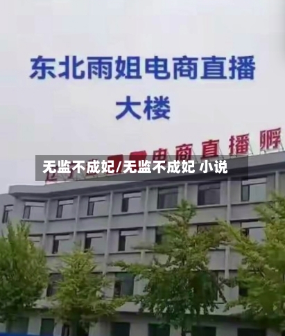 无监不成妃/无监不成妃 小说-第1张图片