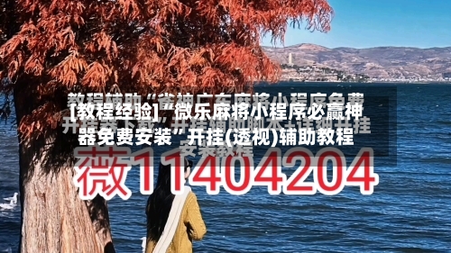 [教程经验]“微乐麻将小程序必赢神器免费安装	”开挂(透视)辅助教程-第1张图片