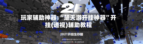 玩家辅助神器:“楚天游开挂神器”开挂(透视)辅助教程-第1张图片