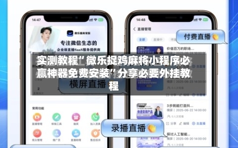 实测教程”微乐捉鸡麻将小程序必赢神器免费安装	”分享必要外挂教程-第1张图片