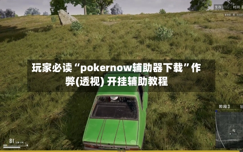 玩家必读“pokernow辅助器下载”作弊(透视) 开挂辅助教程-第1张图片