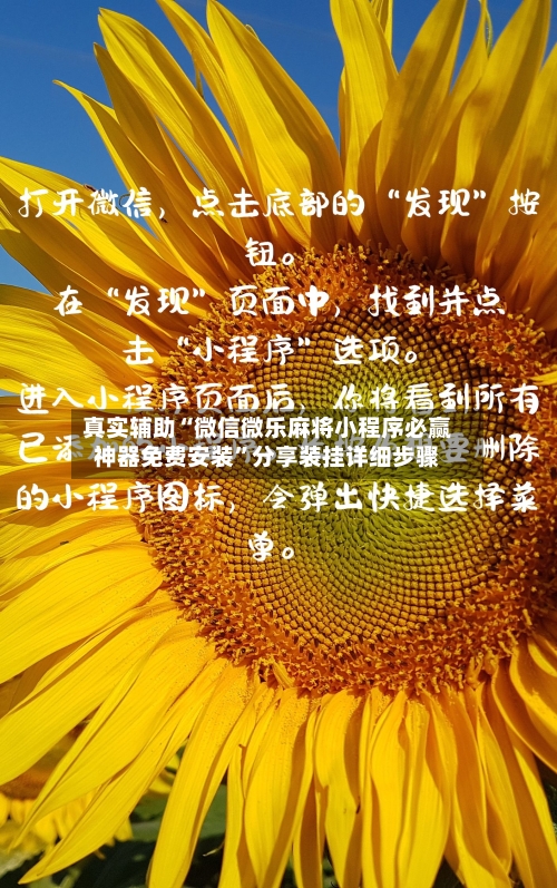 真实辅助“微信微乐麻将小程序必赢神器免费安装”分享装挂详细步骤-第1张图片
