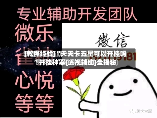 [教程经验]“天天卡五星可以开挂吗”开挂神器{透视辅助}全揭秘-第1张图片