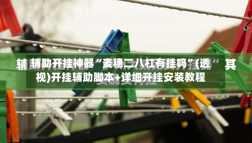 辅助开挂神器“麦穗二八杠有挂吗”(透视)开挂辅助脚本+详细开挂安装教程-第1张图片