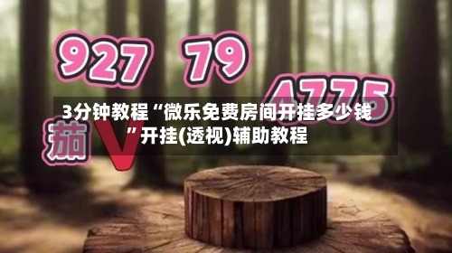 3分钟教程“微乐免费房间开挂多少钱	”开挂(透视)辅助教程-第1张图片