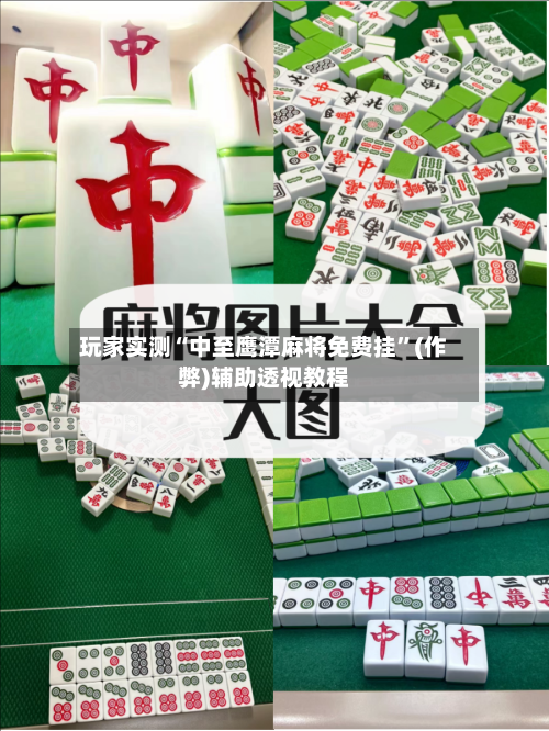 玩家实测“中至鹰潭麻将免费挂”(作弊)辅助透视教程-第1张图片