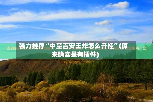 强力推荐“中至吉安王炸怎么开挂	”(原来确实是有插件)-第1张图片