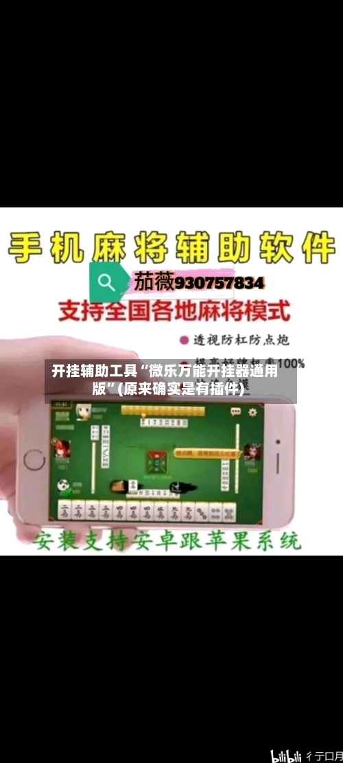 开挂辅助工具“微乐万能开挂器通用版	”(原来确实是有插件)-第1张图片