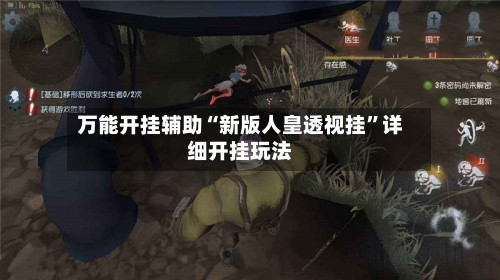 万能开挂辅助“新版人皇透视挂”详细开挂玩法-第1张图片