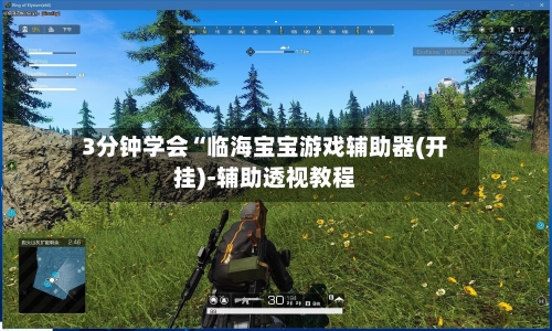 3分钟学会“临海宝宝游戏辅助器(开挂)-辅助透视教程-第1张图片