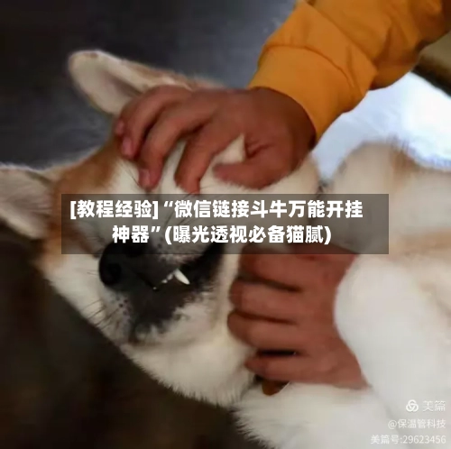 [教程经验]“微信链接斗牛万能开挂神器”(曝光透视必备猫腻)-第1张图片