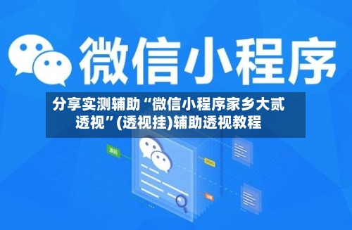 分享实测辅助“微信小程序家乡大贰透视”(透视挂)辅助透视教程-第1张图片
