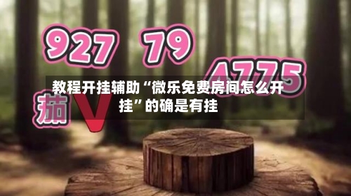教程开挂辅助“微乐免费房间怎么开挂”的确是有挂-第1张图片