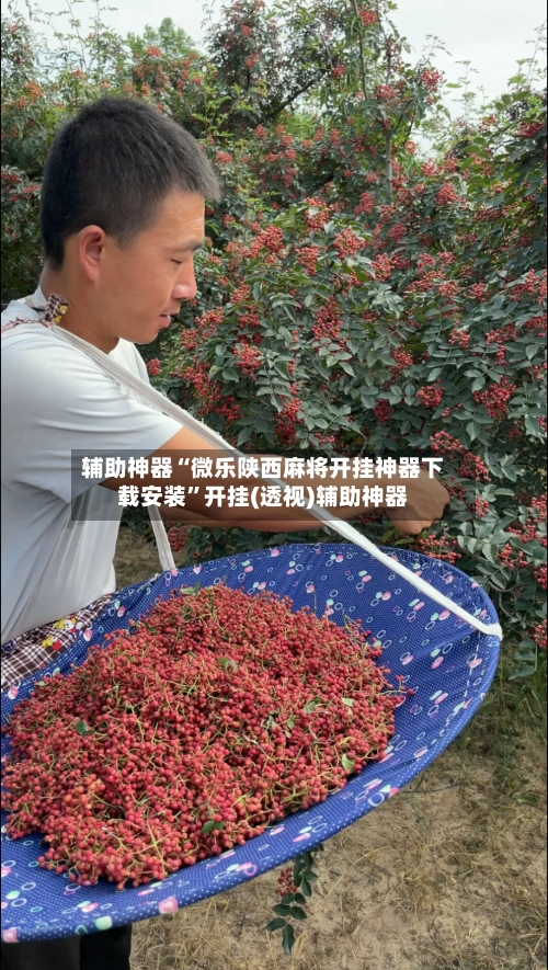 辅助神器“微乐陕西麻将开挂神器下载安装”开挂(透视)辅助神器-第1张图片