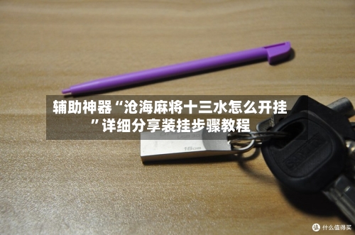 辅助神器“沧海麻将十三水怎么开挂”详细分享装挂步骤教程-第1张图片