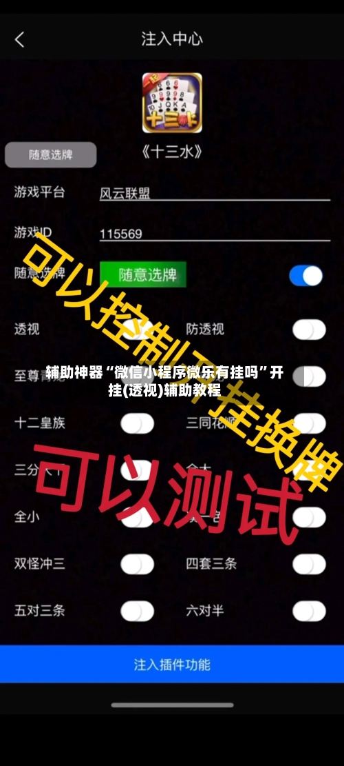辅助神器“微信小程序微乐有挂吗”开挂(透视)辅助教程-第1张图片