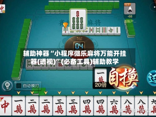 辅助神器“小程序微乐麻将万能开挂器(透视)”(必备工具)辅助教学-第1张图片