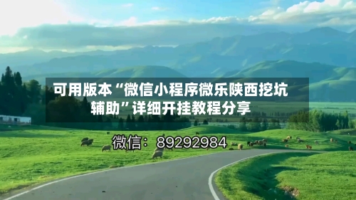 可用版本“微信小程序微乐陕西挖坑辅助”详细开挂教程分享-第1张图片
