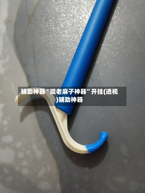 辅助神器“捉老麻子神器”开挂(透视)辅助神器-第1张图片