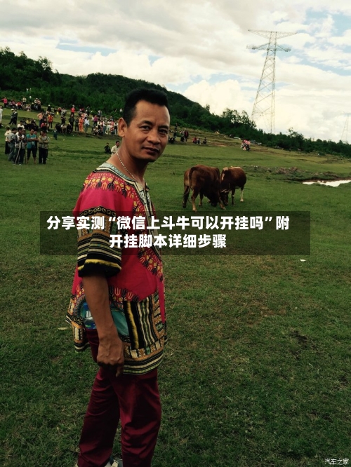 分享实测“微信上斗牛可以开挂吗”附开挂脚本详细步骤-第1张图片