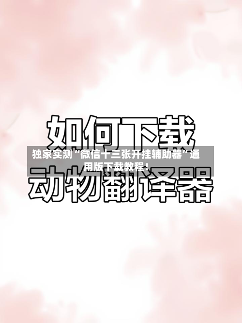 独家实测“微信十三张开挂辅助器	”通用版下载教程！-第1张图片