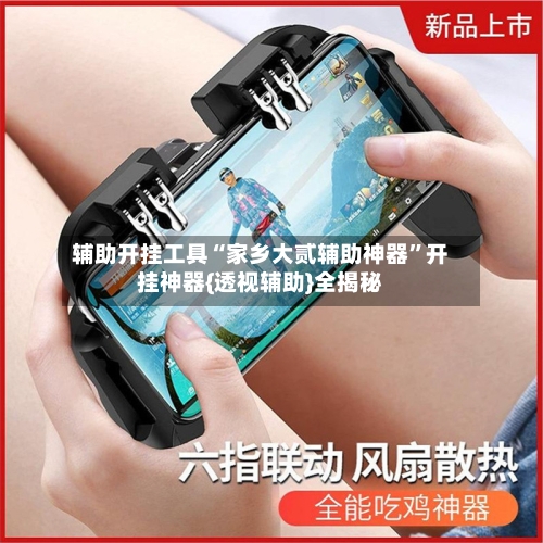 辅助开挂工具“家乡大贰辅助神器”开挂神器{透视辅助}全揭秘-第1张图片