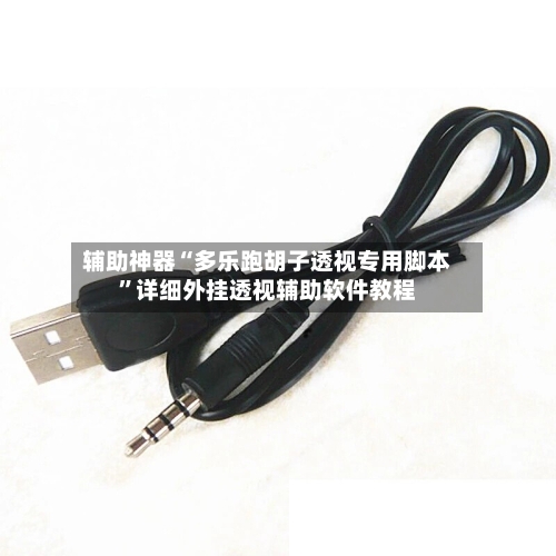 辅助神器“多乐跑胡子透视专用脚本”详细外挂透视辅助软件教程-第1张图片