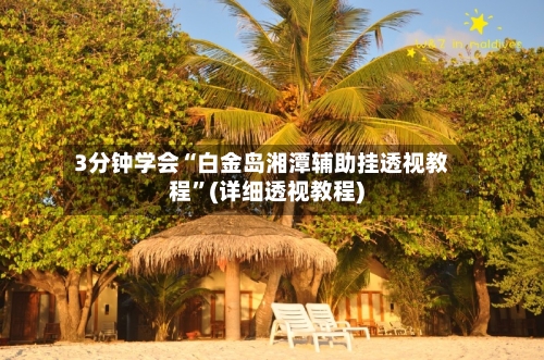 3分钟学会“白金岛湘潭辅助挂透视教程”(详细透视教程)-第1张图片