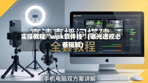 实操教程“wpk软件挂”(曝光透视必备猫腻)-第1张图片