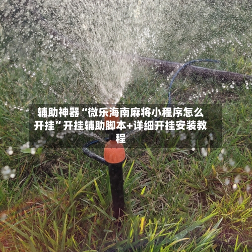 辅助神器“微乐海南麻将小程序怎么开挂	”开挂辅助脚本+详细开挂安装教程-第1张图片