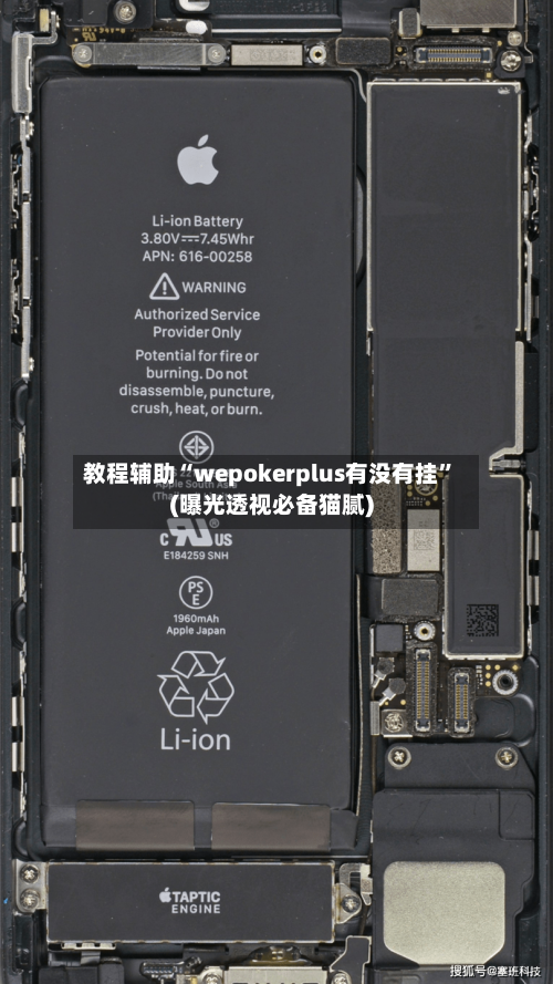 教程辅助“wepokerplus有没有挂”(曝光透视必备猫腻)-第1张图片