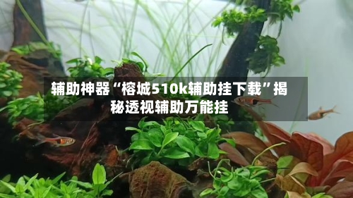 辅助神器“榕城510k辅助挂下载”揭秘透视辅助万能挂-第1张图片