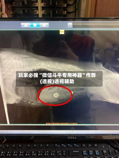 玩家必搜“微信斗牛专用神器	”作弊(透视)透视辅助-第1张图片