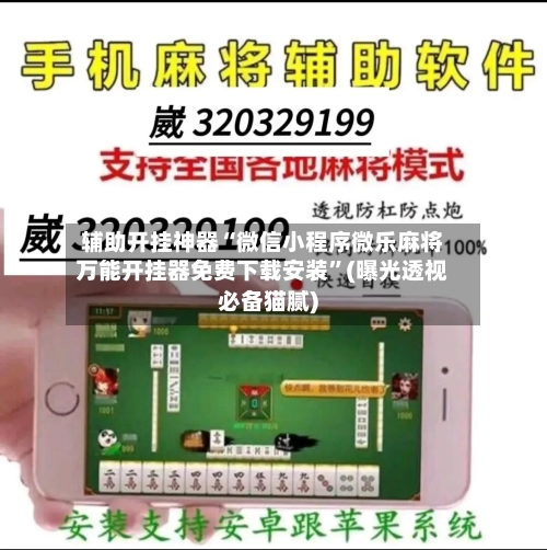 辅助开挂神器“微信小程序微乐麻将万能开挂器免费下载安装	”(曝光透视必备猫腻)-第1张图片