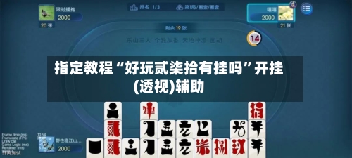指定教程“好玩贰柒拾有挂吗	”开挂(透视)辅助-第1张图片